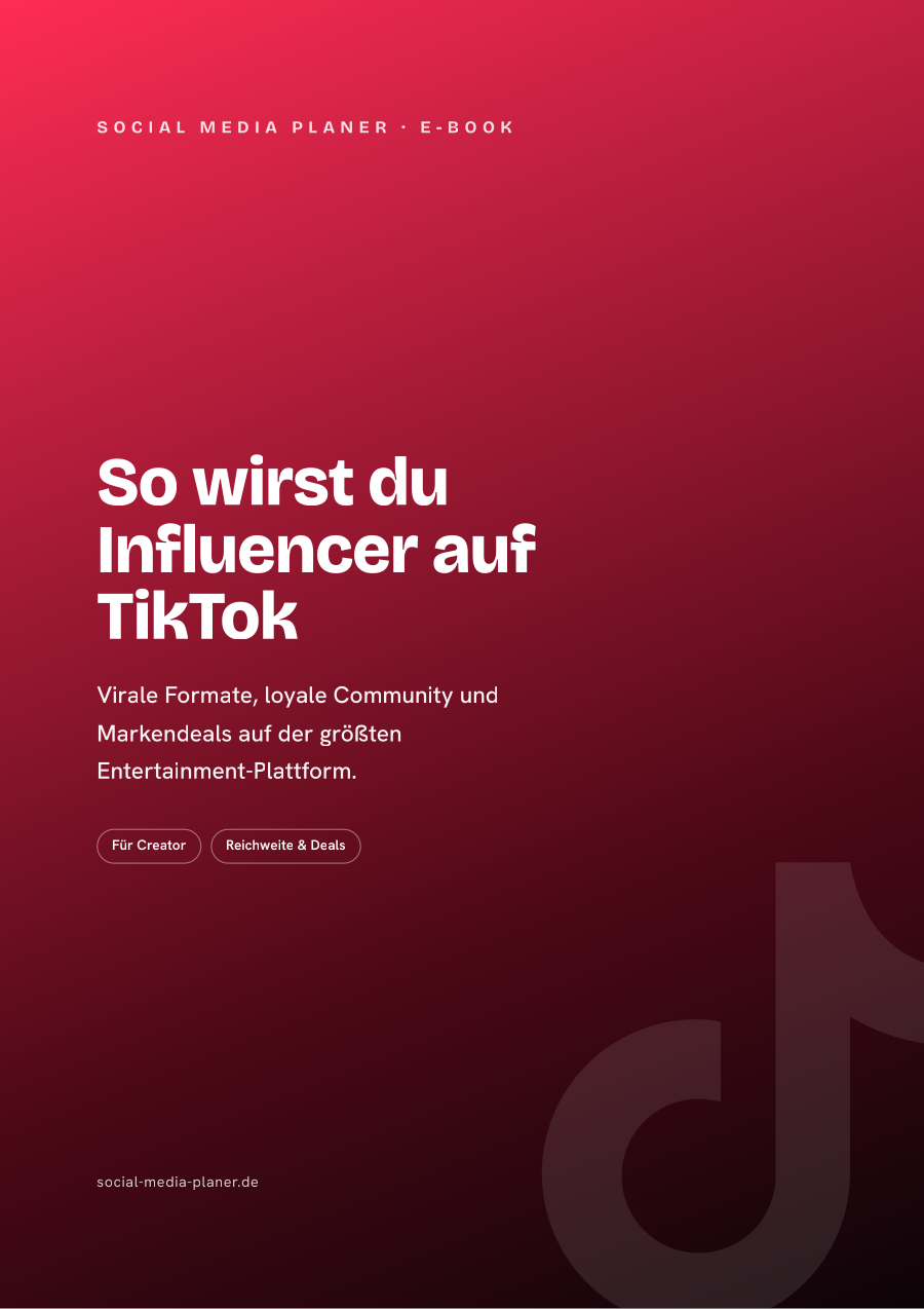 So wirst du Influencer auf TikTok – E-Book-Cover (TikTok)